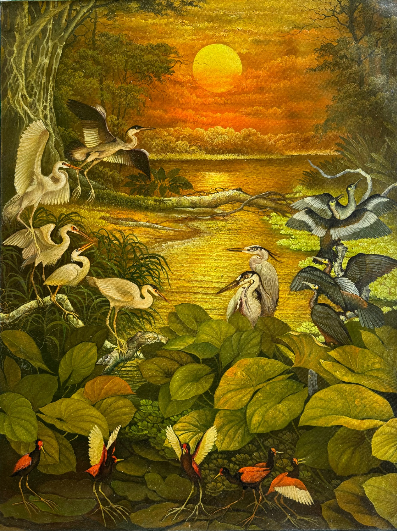 Birds Paradise